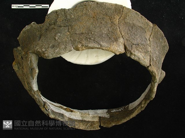 陶片藏品圖，第1張