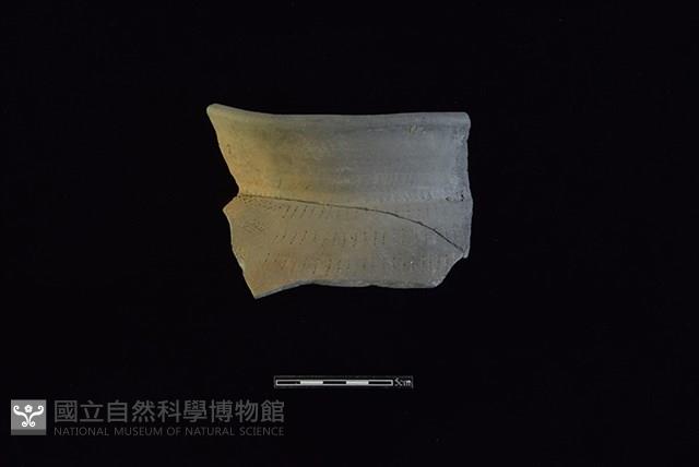 陶罐藏品圖，第1張