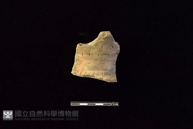 陶罐藏品圖，第1張