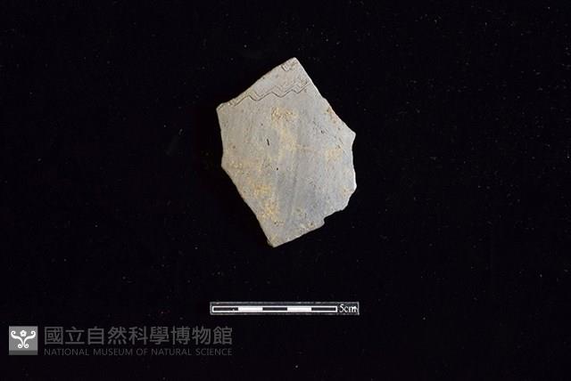 陶片藏品圖，第1張