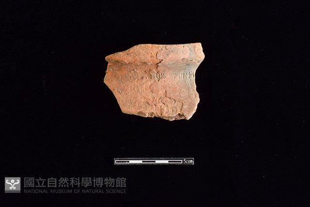 陶罐藏品圖，第1張