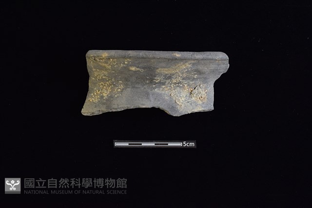 陶罐藏品圖，第1張