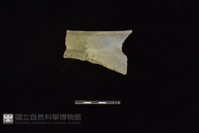 陶罐藏品圖，第1張