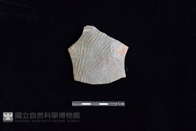 陶片藏品圖，第1張