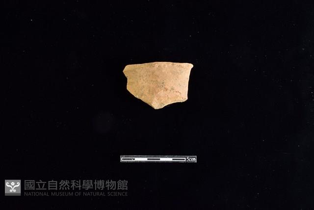 陶片藏品圖，第1張