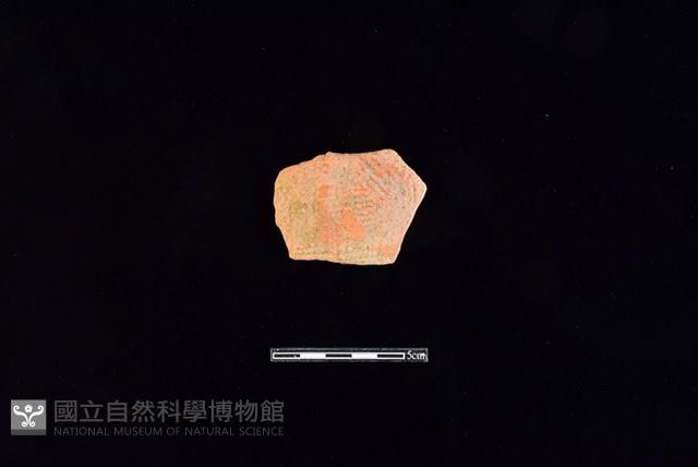 陶片藏品圖，第1張