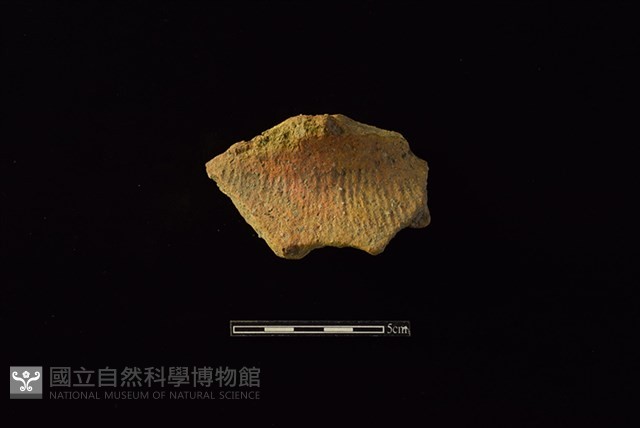 陶罐藏品圖，第1張