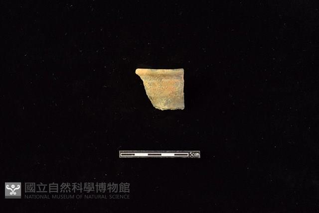 陶罐藏品圖，第1張