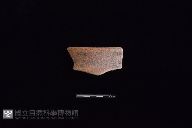 陶罐藏品圖，第1張