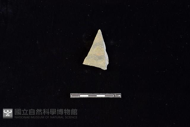 陶片藏品圖，第1張