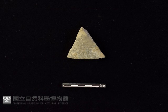 陶片藏品圖，第1張