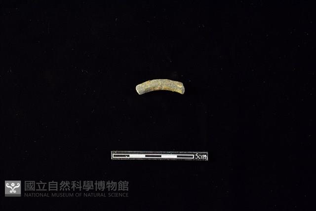 陶環藏品圖，第1張