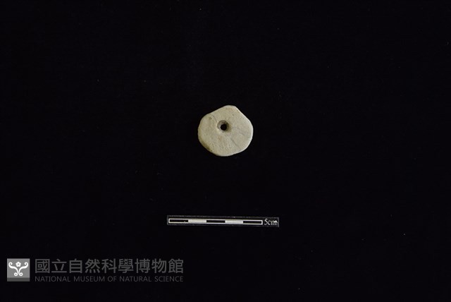 陶片藏品圖，第1張