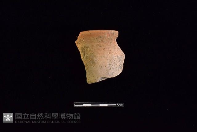 陶罐藏品圖，第1張