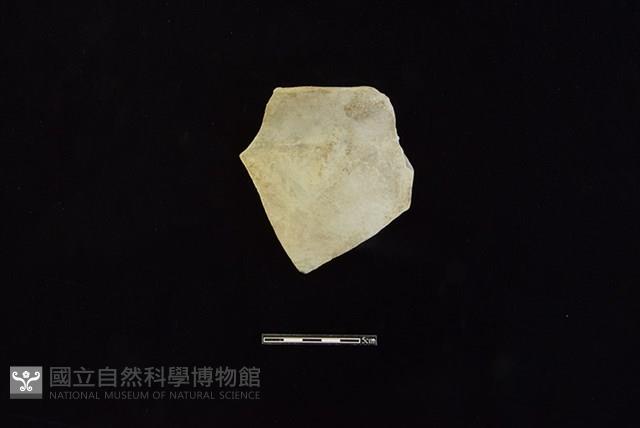 陶罐藏品圖，第1張