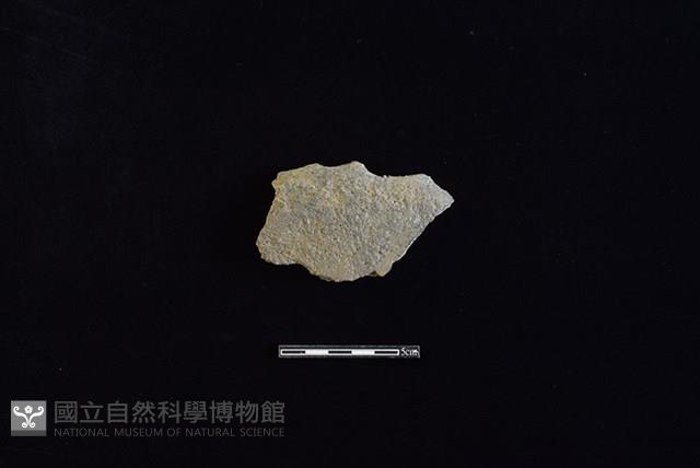 陶片藏品圖，第1張