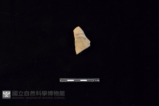 陶片藏品圖，第1張