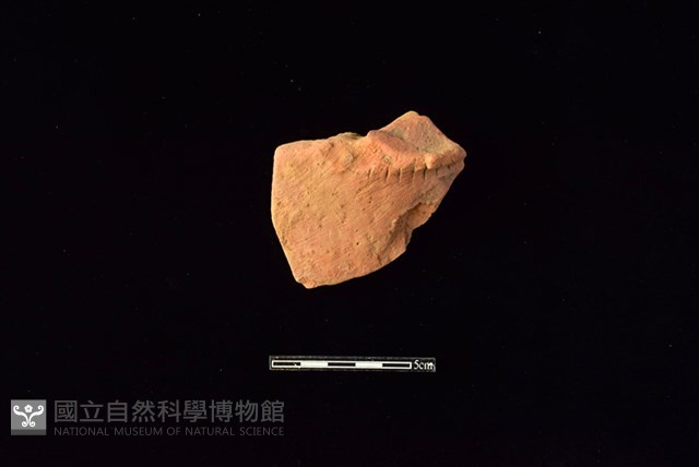 陶盤藏品圖，第1張