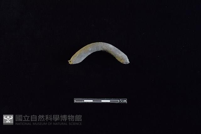 陶把藏品圖，第1張