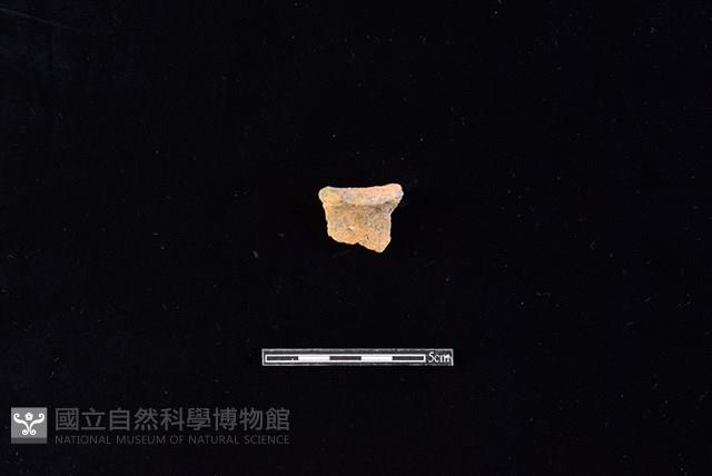 陶罐藏品圖，第1張