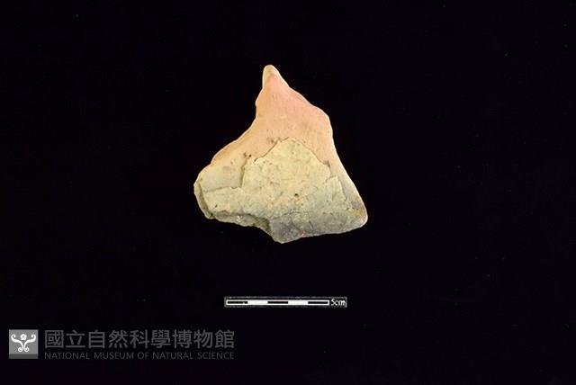 連杯形器藏品圖，第1張