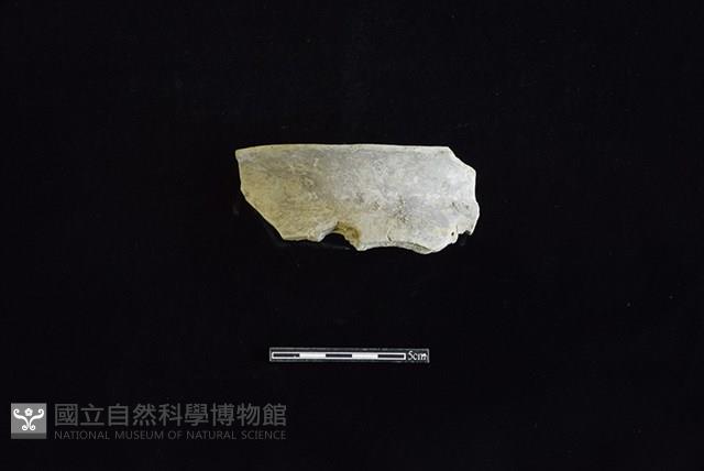 陶罐藏品圖，第1張