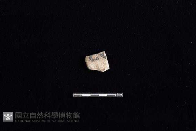 陶片藏品圖，第1張