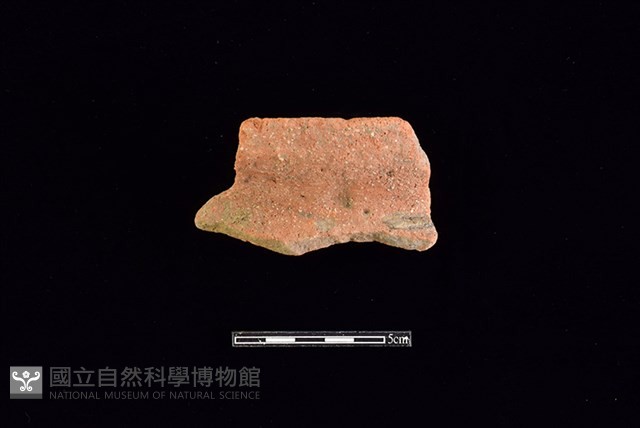 陶罐藏品圖，第1張
