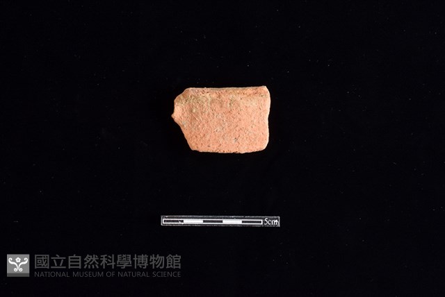 陶片藏品圖，第1張