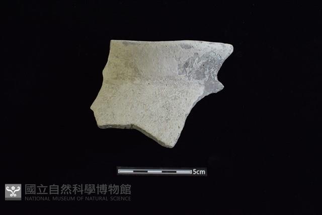 陶罐藏品圖，第1張