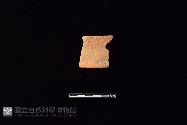 陶片藏品圖，第1張