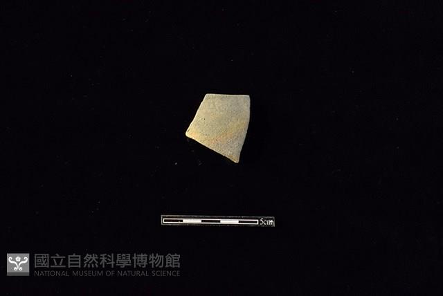 陶片藏品圖，第1張