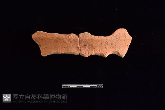 陶罐藏品圖，第1張