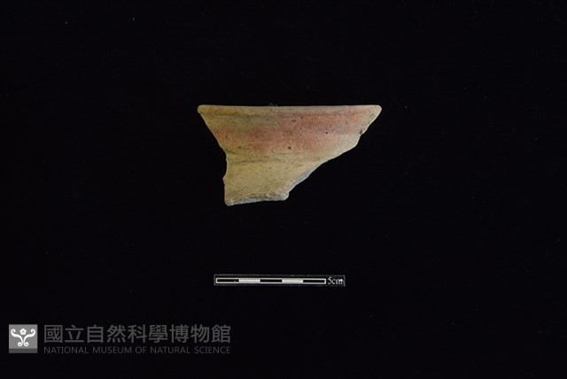 陶罐藏品圖，第1張