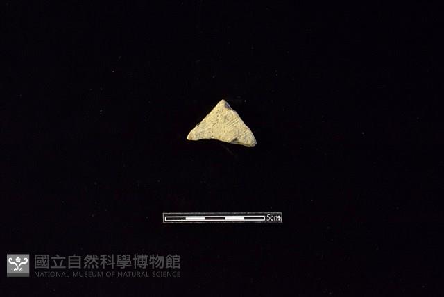 陶片藏品圖，第1張