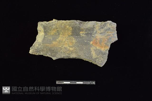 陶片藏品圖，第1張