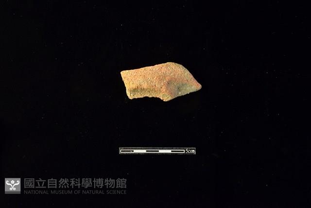 Accession Number:HLL-H PT0204 Collection Image, Figure 1, Total 2 Figures