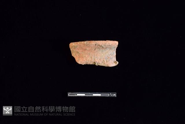 陶罐藏品圖，第1張