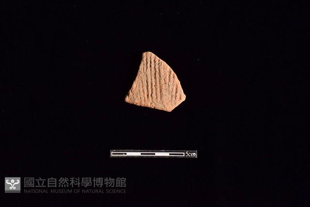 陶片藏品圖，第1張