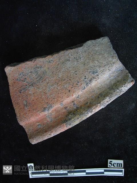 陶片藏品圖，第1張