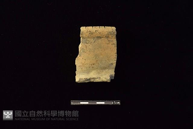 陶罐藏品圖，第1張