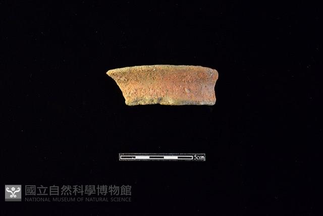 陶罐藏品圖，第1張