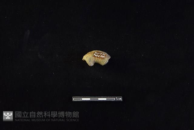 陶把藏品圖，第1張