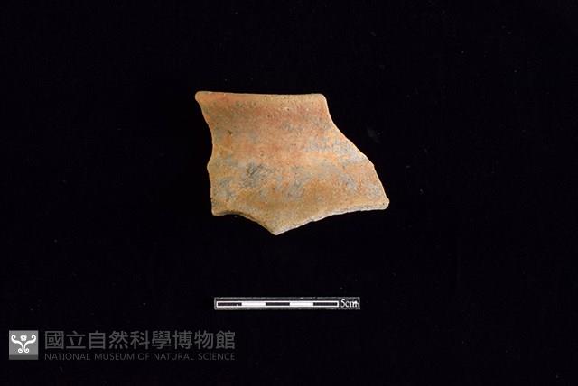 陶罐藏品圖，第1張