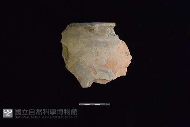陶罐藏品圖，第1張