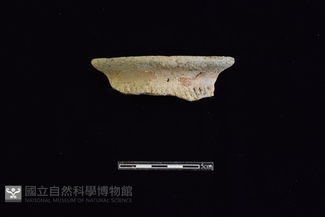 陶罐藏品圖，第1張
