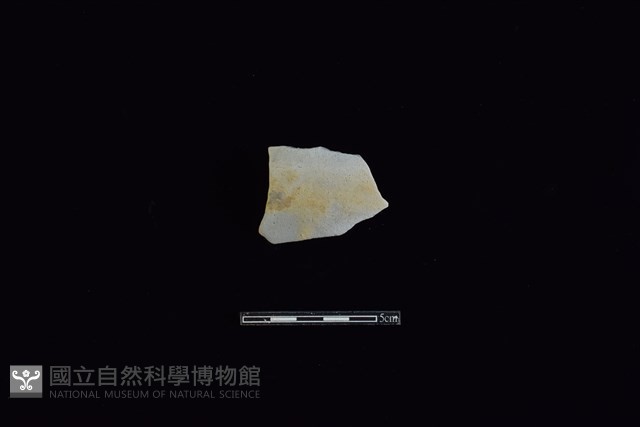陶片藏品圖，第1張