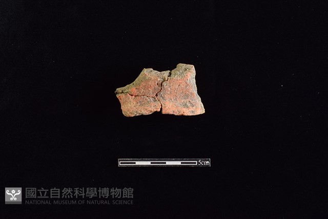 陶罐藏品圖，第1張