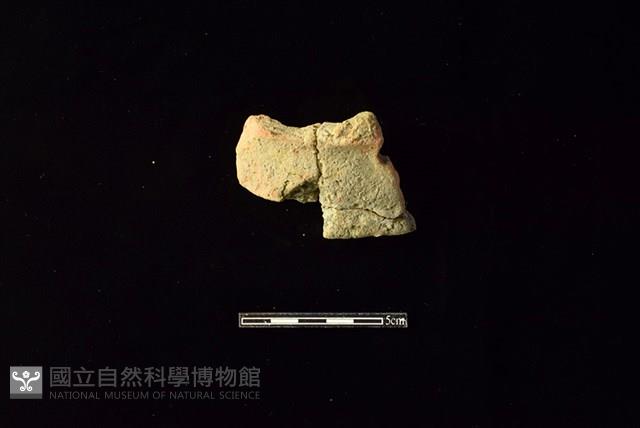 陶片藏品圖，第1張