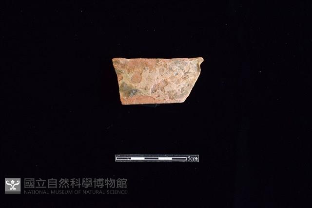 陶片藏品圖，第1張